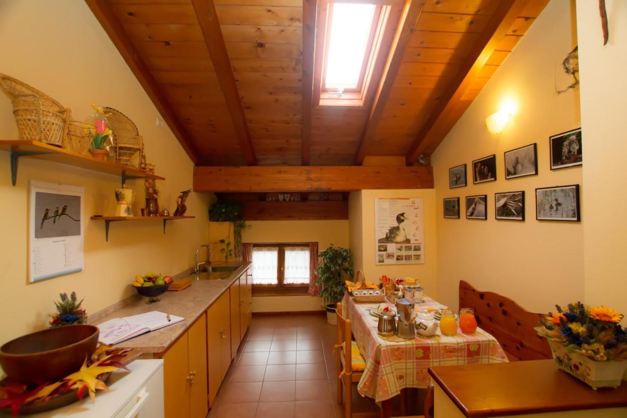 Guest House Il Nido Dello Svasso -Foresteria Lombarda- 소리코 외부 사진